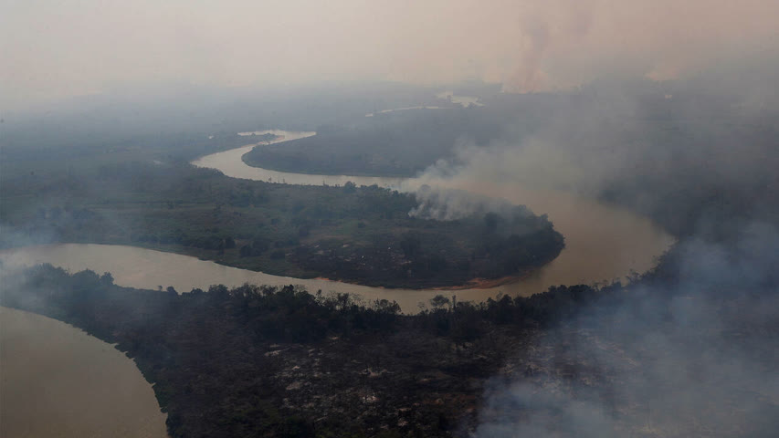Фото - Пожары в лесах Амазонки стали крупнейшими за последнее десятилетие